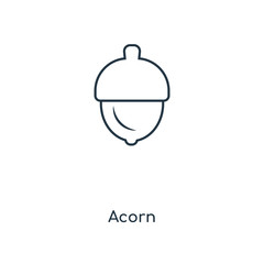 acorn icon vector