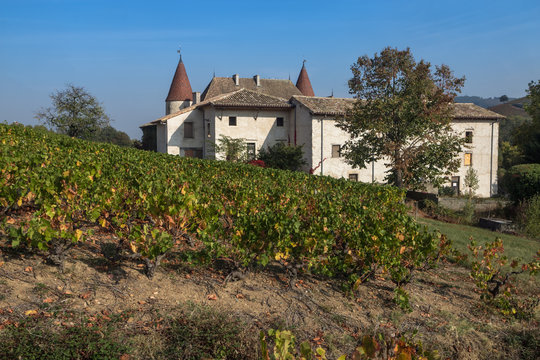 Ch&acirc;teau de la Palud &agrave; l' automne au mileu des vignes , &agrave; Quinci&eacute; en Beaujolais, rh&ocirc;ne , france