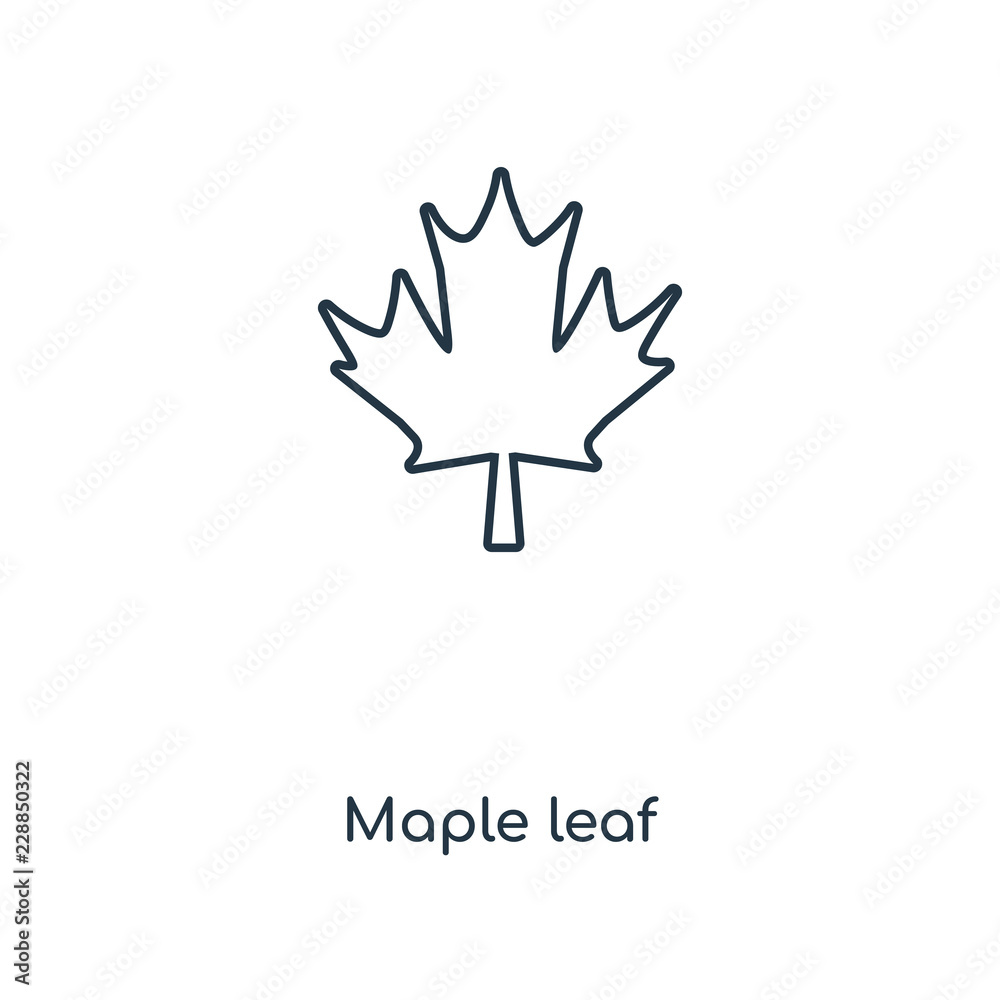 Canvas Prints maple leaf icon vector