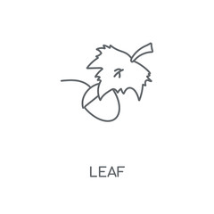 leaf icon