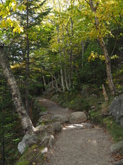 Weg zu den Glen Ellis Falls, New Hampshire