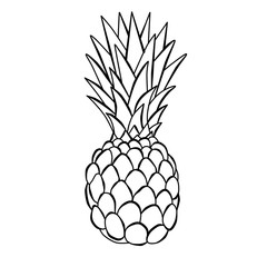 Contour illustration with pineapple on white background. Logo, icon elements. 