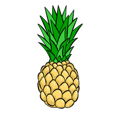 Color illustration with pineapple on white background. Logo, icon elements. 