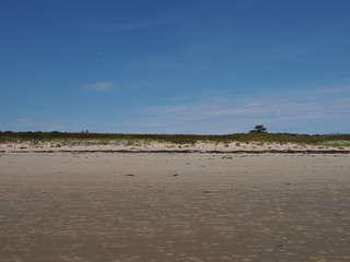 Dünen mit Sandstrand bei Ebbe, Maine