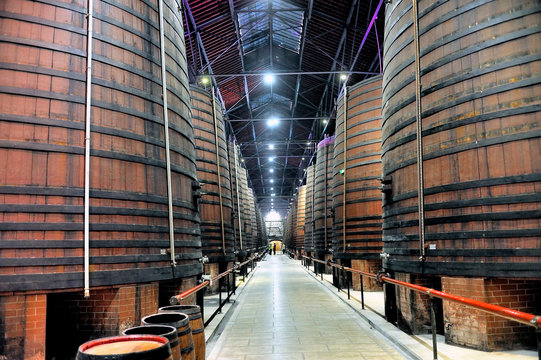Interior of a large industrial wine cellar with huge oak barrels.