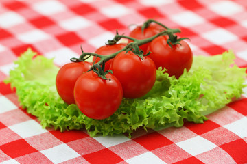 Juicy and ripe cherry tomatoes on vivid green lettuce leaves on red and white checkered cloth
