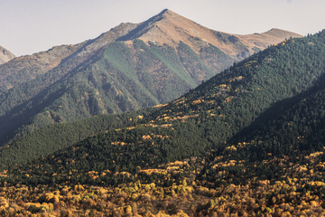 Autumn alpine landscape.