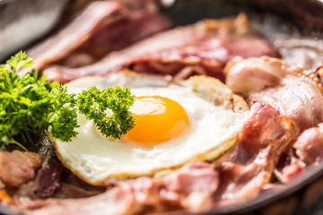 Close-up roasted bacon and egg with herbs.