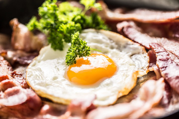 Close-up roasted bacon and egg with herbs.