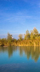Fototapeta na wymiar Beautiful autumn view at a pond near Aholming - Bavaria