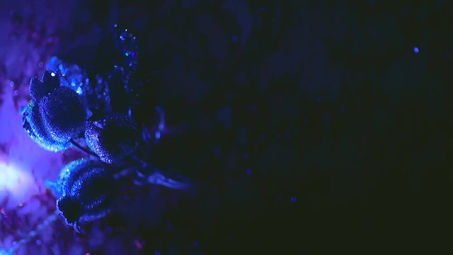 throbbing abstract background with blue decor and poppy