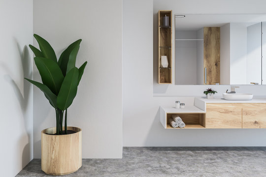 White bathroom interior, sink and plant