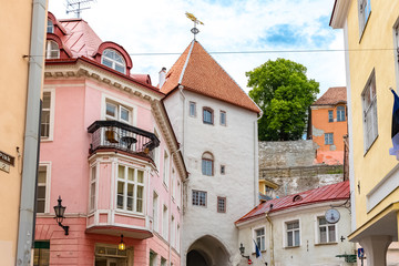 Obraz premium Tallinn in Estonia, beautiful colorful houses in the medieval city, typical facades
