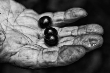 Kaffeebauer mit Kaffeebohne