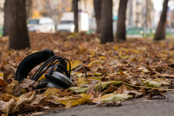 audio old headphones lying in the street in autumn yellow foliage