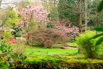 Clingendael park at spring with blooming flowers, Den Haag, Holand Netherlands