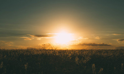 sunset over a field