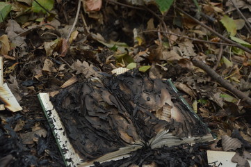 Half burned book on the ground of the forest , ashes cover the sites