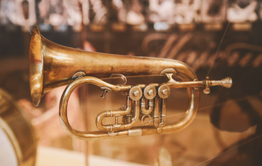 Golden trumpet in the shop window