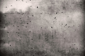 old metal background
