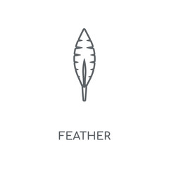 feather icon
