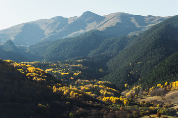 Mountain autumn landscape.
