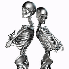 3d illustration of metal skeleton couples isolated on white