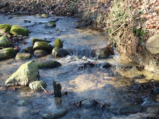 Winter in Mecklenburg - Vorpommern | Wald | Deutschland