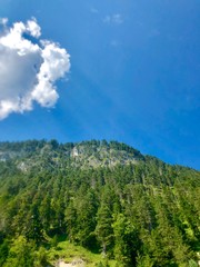 Memories of a beautiful summer.