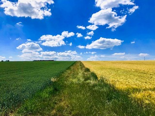 Memories of a beautiful summer.