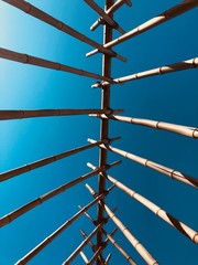 Memories of a beautiful summer.