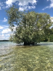 Memories of a beautiful summer.