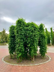 Memories of a beautiful summer.