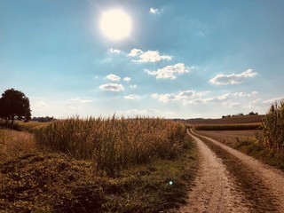 Memories of a beautiful summer.