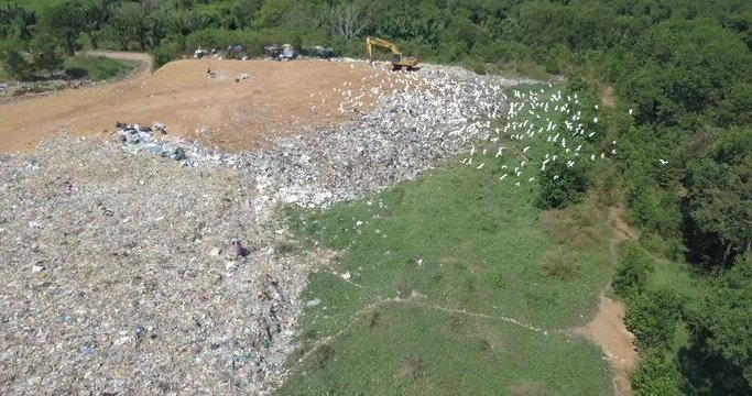Bird's eye view of garbage mountain from drone in the industrial zone. Here is a flock of white birds, living in the garbage dump hill, The flock live in the forest near the garbage zone. 