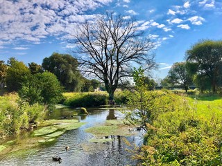 Memories of a beautiful summer.
