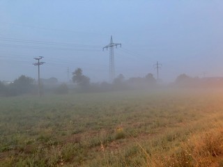 Memories of a beautiful summer.