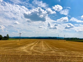 Memories of a beautiful summer.