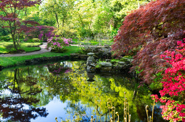 pond with spring blooming trees in japanese garden in The Hague, Netherlands