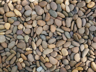 rock stone texture background,aroma stone in garden