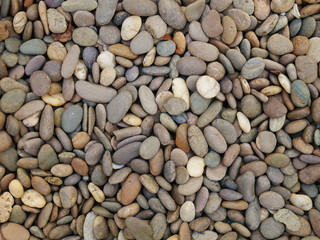 rock stone texture background,aroma stone in garden