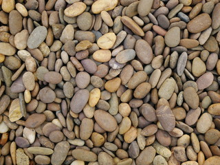 rock stone texture background,aroma stone in garden