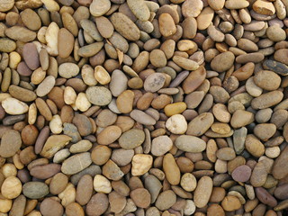 rock stone texture background,aroma stone in garden