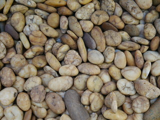 rock stone in the garden,aroma stone