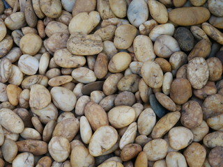 rock stone in the garden,aroma stone