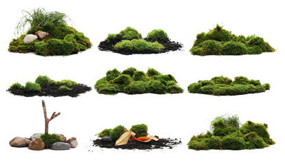 Set green moss isolated on white background and texture, with clipping path