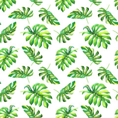 Tropical watercolor seamless pattern with exotic green monstera leaves isolated on white background. Natural fashion fabric texture, textile print, banner, decoration, wallpaper, wrapping, card