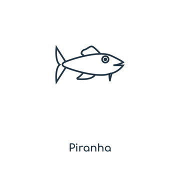 piranha icon vector