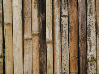 old bamboo wood texture background