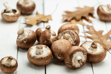 Mushrooms champignons royal scattered on a wooden background